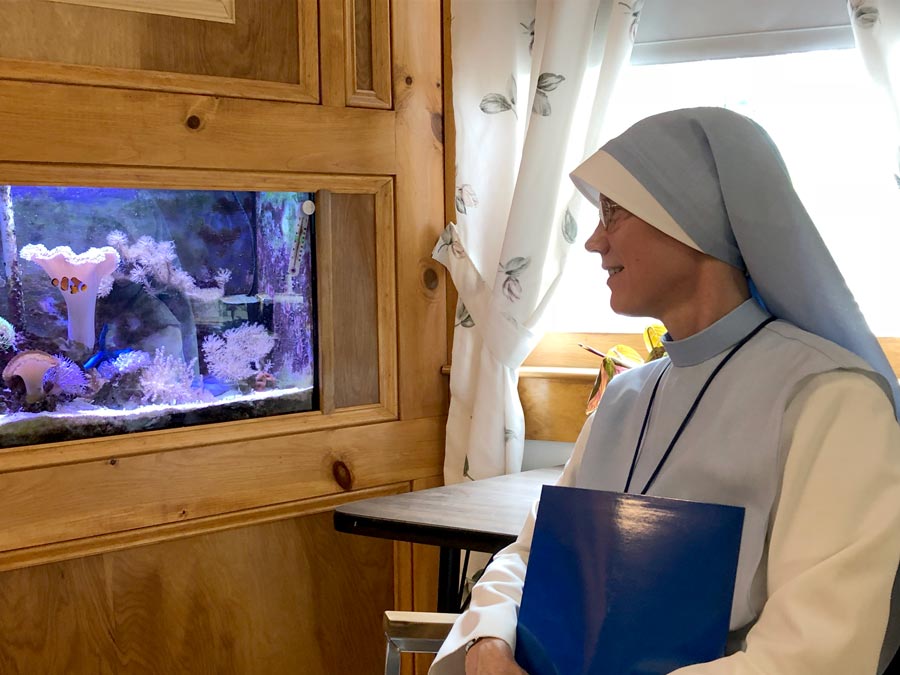 Administrator Sr. Mary Agnes looks at the aquarium at the St. Charles School in Rochester, NH.